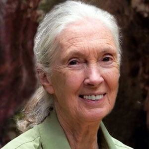 Dr Jane Goodall